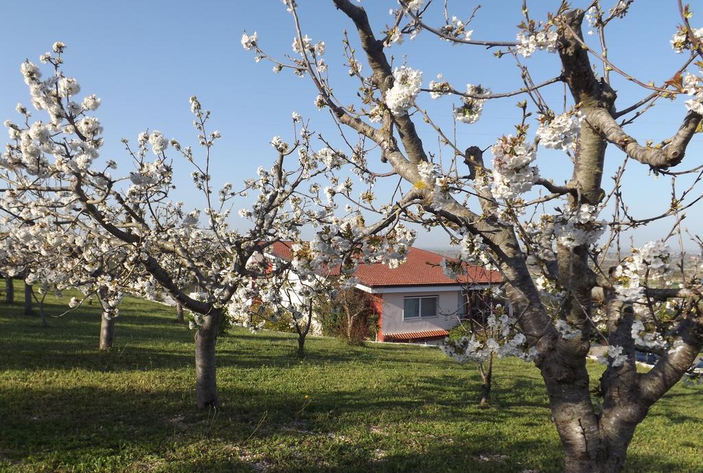 B&B Villa Lena Turi Eksteriør bilde