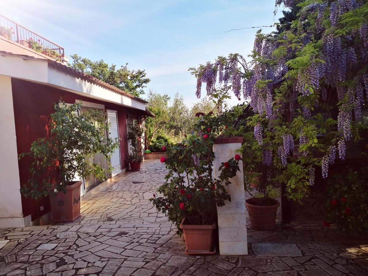 B&B Villa Lena Turi Eksteriør bilde