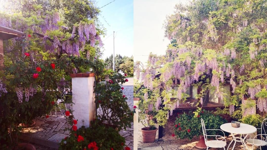 B&B Villa Lena Turi Eksteriør bilde