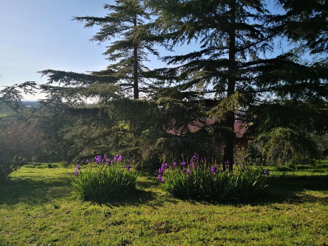 B&B Villa Lena Turi Eksteriør bilde